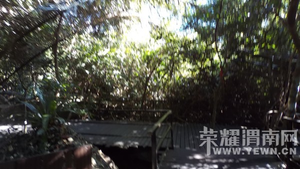 �����Ŷ��˶�ʵ�һ�����У��Ȼ�������