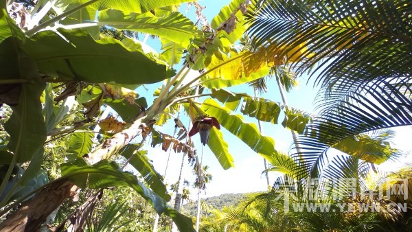 �����Ŷ��˶�ʵ�һ�����У��Ȼ�������