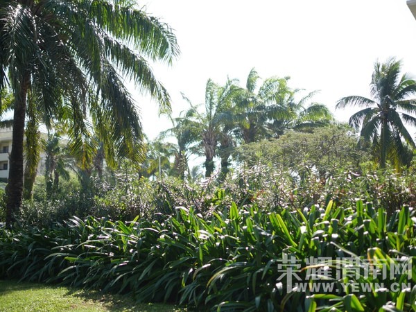 �����Ŷ��˶�ʵ�һ�����У��Ȼ�������