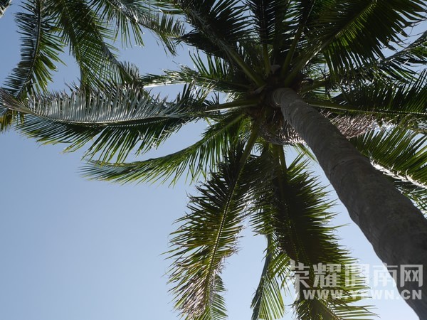 �����Ŷ��˶�ʵ�һ�����У��Ȼ�������