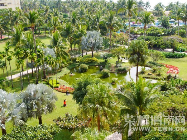 �����Ŷ��˶�ʵ�һ�����У��Ȼ�������