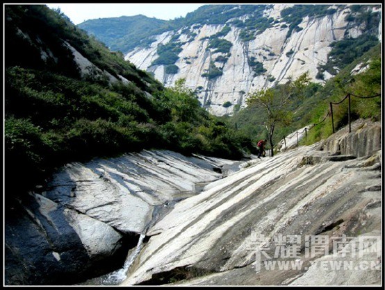 �������껪������������