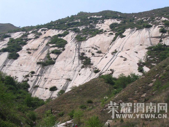 �������껪������������