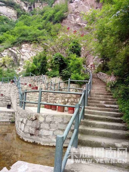 �������껪������������