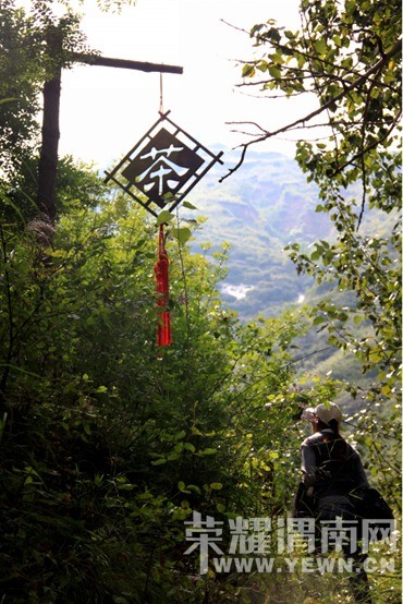 �������껪������������