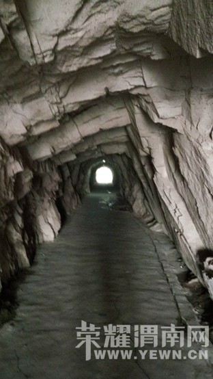 �������껪������������