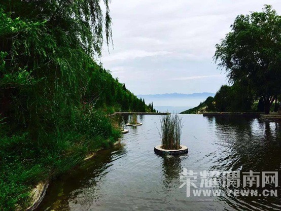 �������껪������������