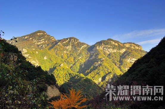 �������껪������������