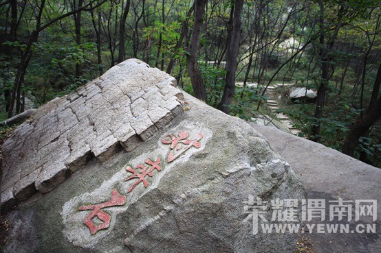 �������껪������������