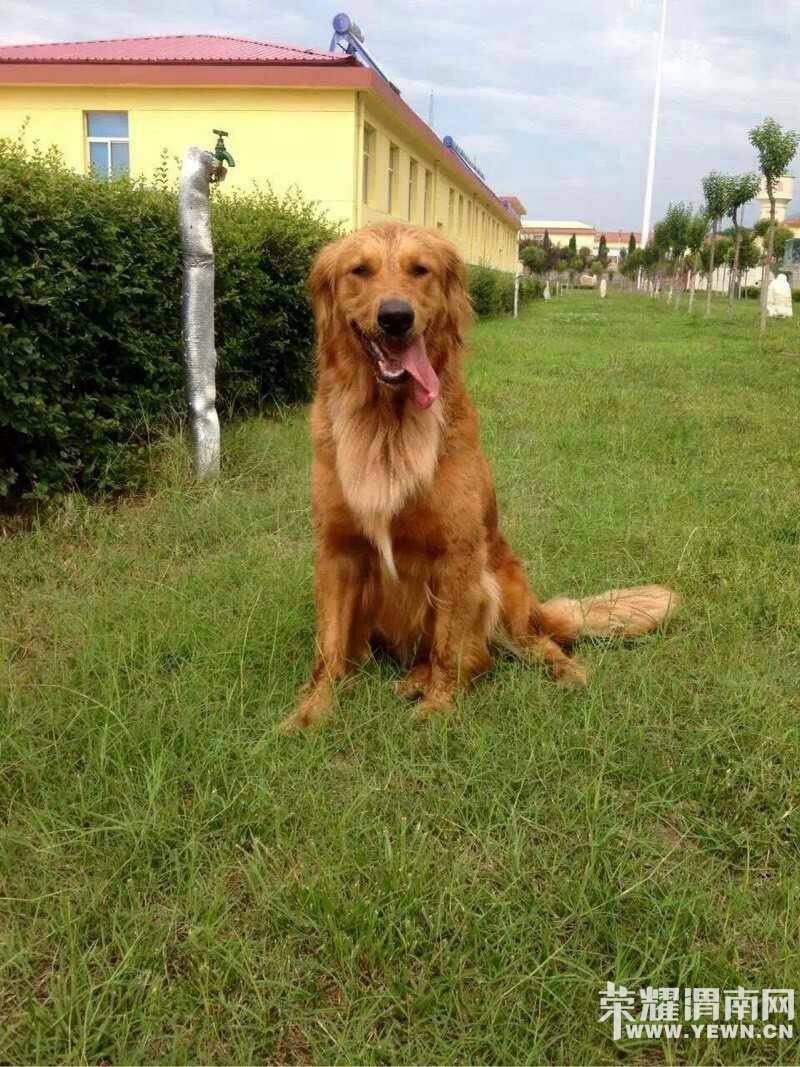 Ѱ����ʾ���������������Ա�ĸ��