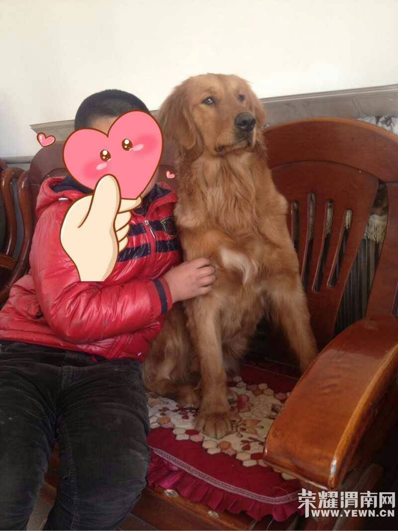 Ѱ����ʾ���������������Ա�ĸ��