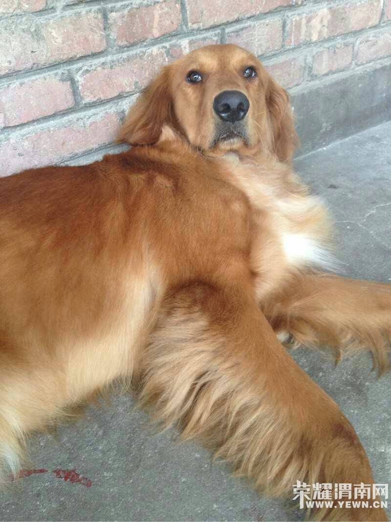 Ѱ����ʾ���������������Ա�ĸ��