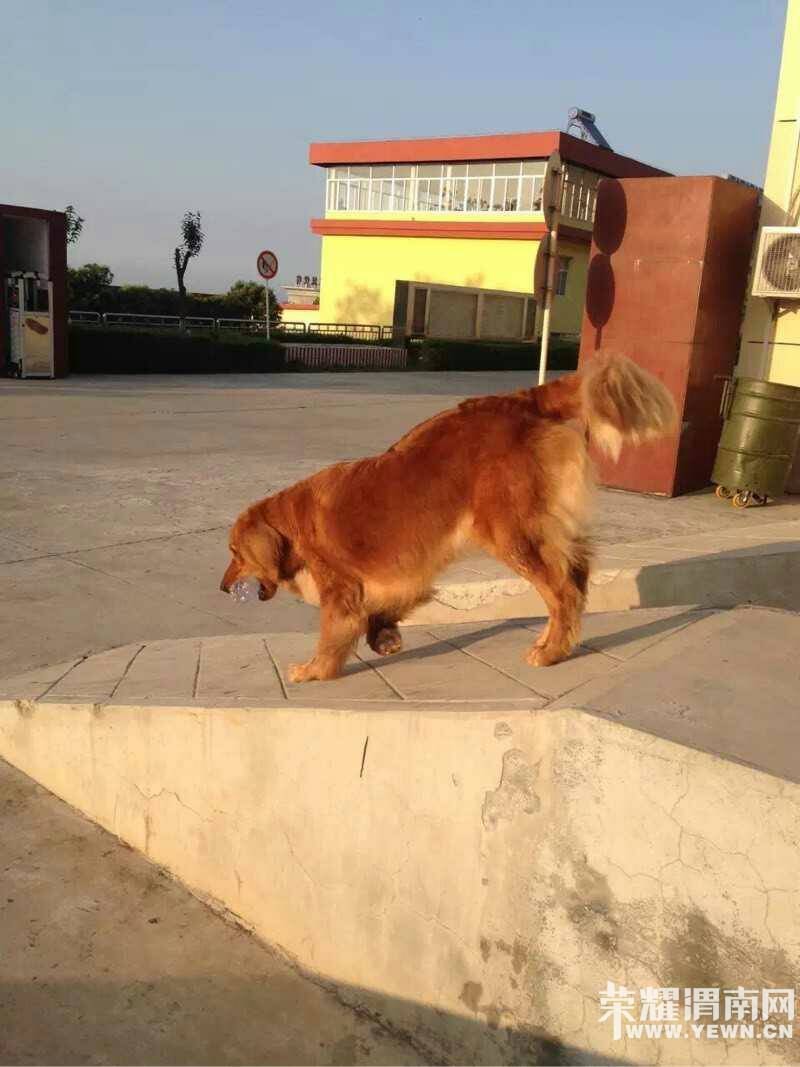 Ѱ����ʾ���������������Ա�ĸ��