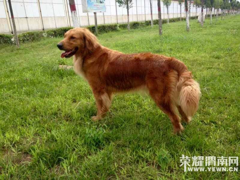 Ѱ����ʾ���������������Ա�ĸ��