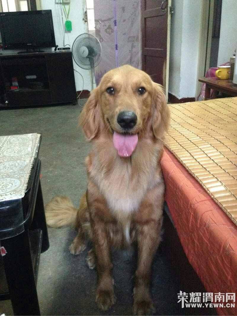 Ѱ����ʾ���������������Ա�ĸ��