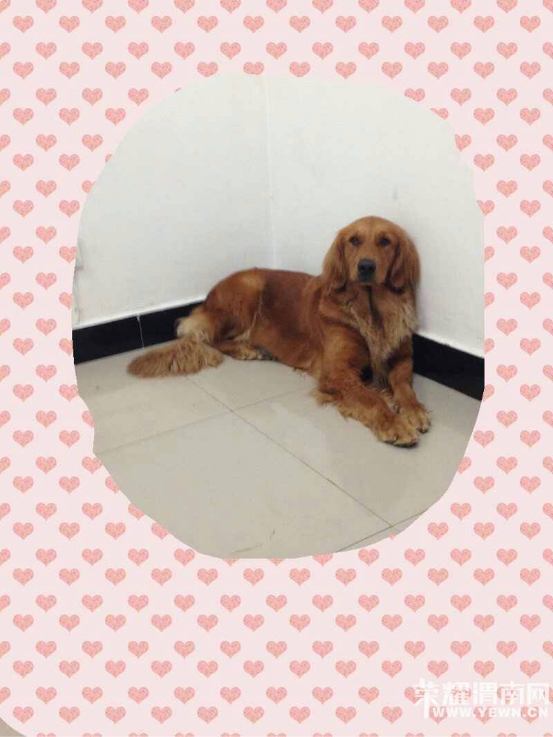 Ѱ����ʾ���������������Ա�ĸ��