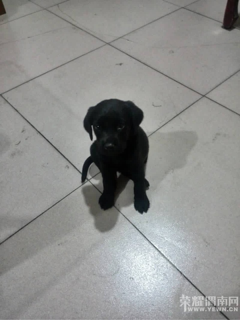 �пյ��鷳�������ǵ�С�֣�����תת