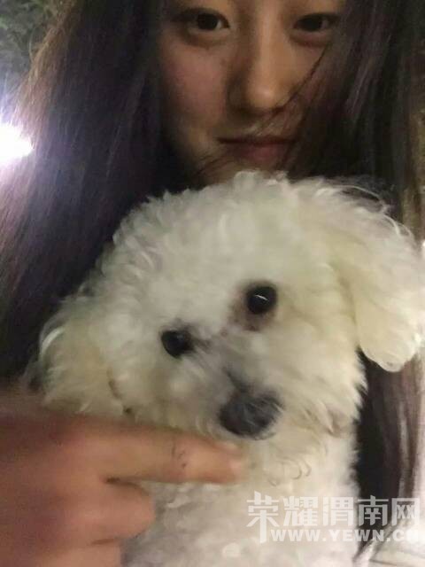 ������ת�������д�ң������Ҽұ���������������5��·��ʧ