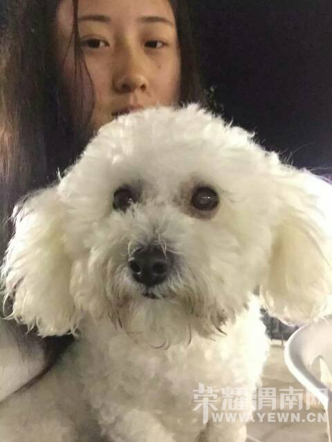 ������ת�������д�ң������Ҽұ���������������5��·��ʧ