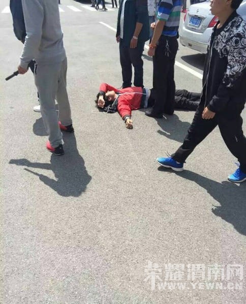 У԰���֡��Ż��С���ȺŹ�ҿ���������ӣ��ഺ�ഺ