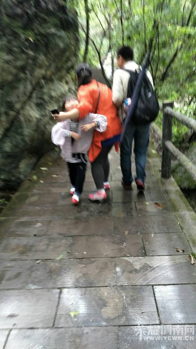 161205o0a5eeepedwweech.jpg