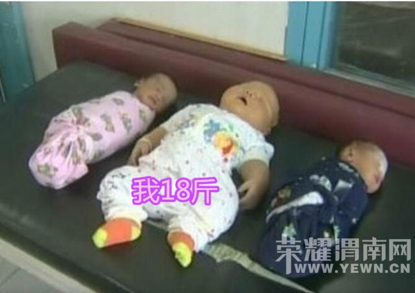 8�����ɶ�����������������18���