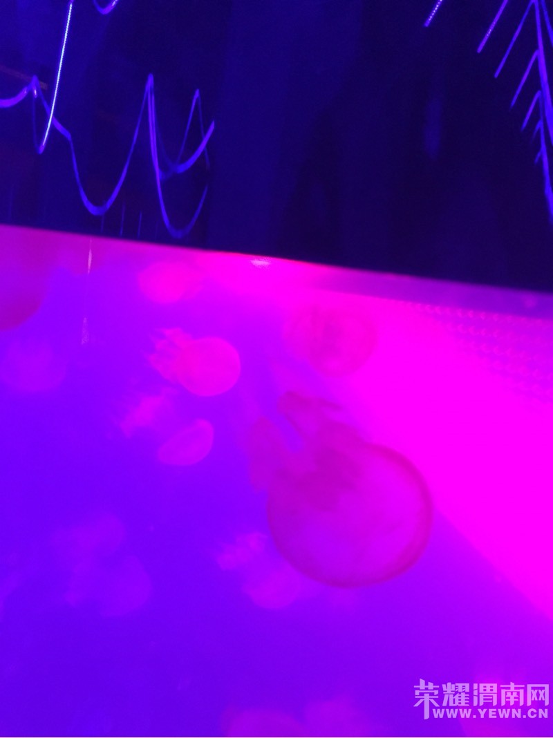 ������ȥ���޻�ʢ��ˮĸ��������ĺܿ���!�������пտ��Դ�����ȥ������