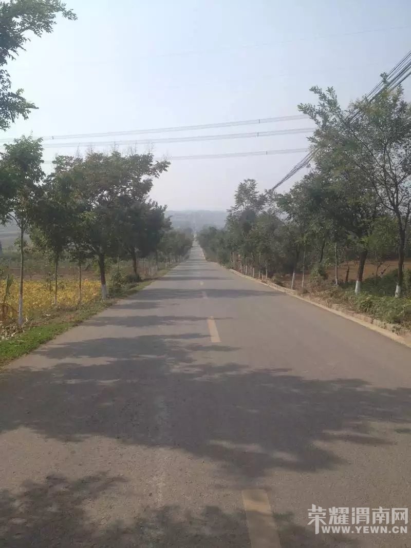 ��������������·��ǿ���Ƽ�ȥ����