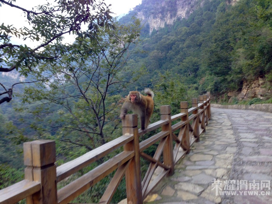 �ʳ��ฮ����Ů�ɺ������ӣ������£�����ʯ��