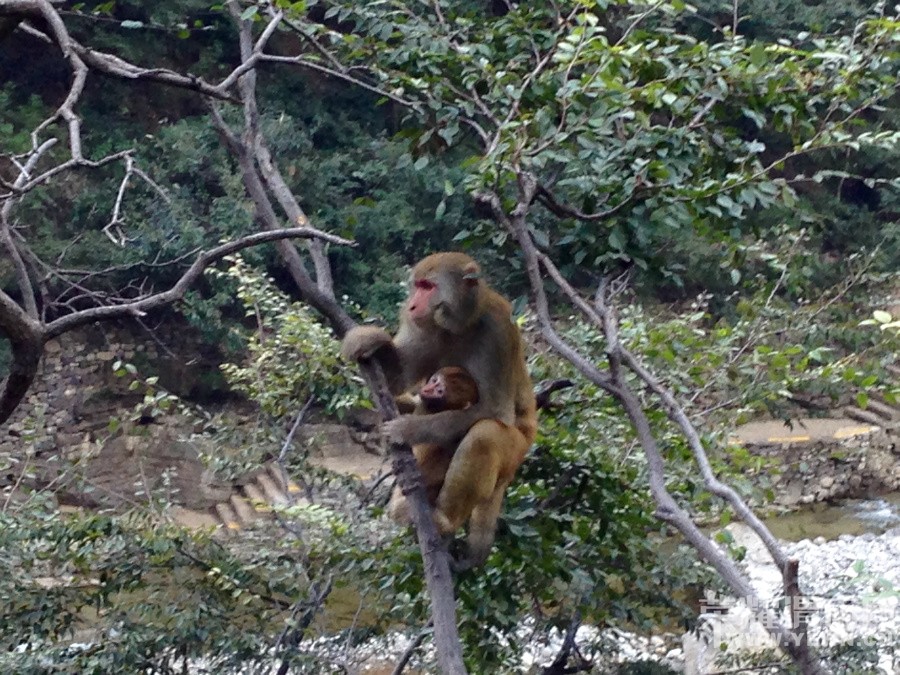 �ʳ��ฮ����Ů�ɺ������ӣ������£�����ʯ��