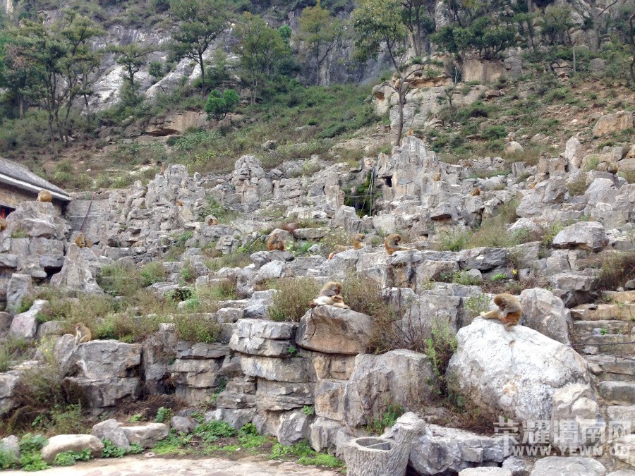 �ʳ��ฮ����Ů�ɺ������ӣ������£�����ʯ��