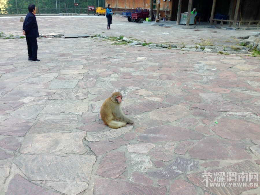 �ʳ��ฮ����Ů�ɺ������ӣ������£�����ʯ��