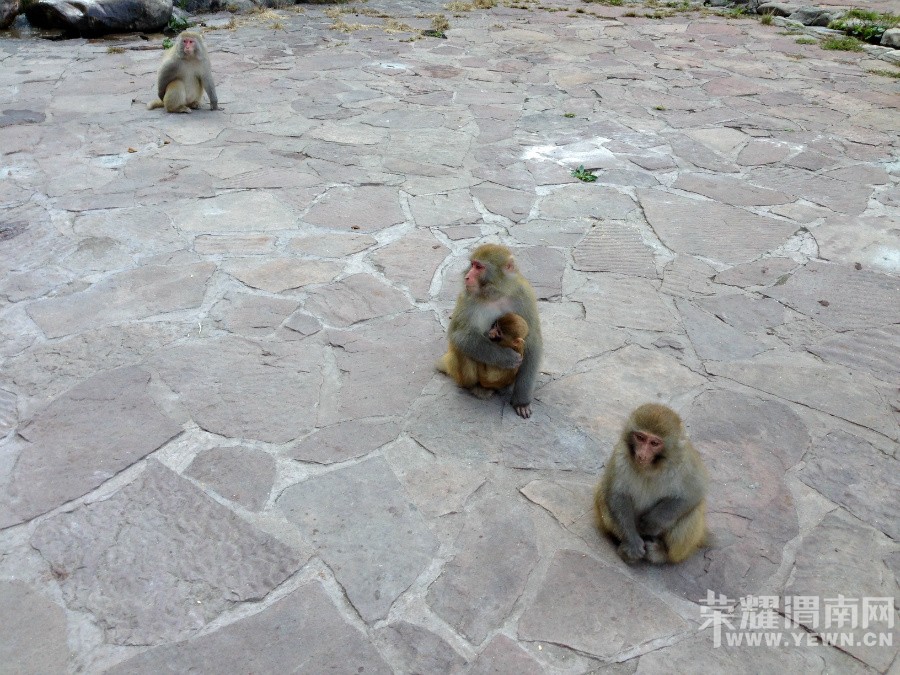 �ʳ��ฮ����Ů�ɺ������ӣ������£�����ʯ��