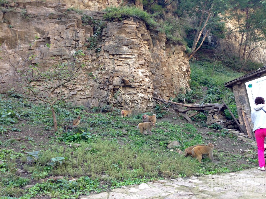 �ʳ��ฮ����Ů�ɺ������ӣ������£�����ʯ��