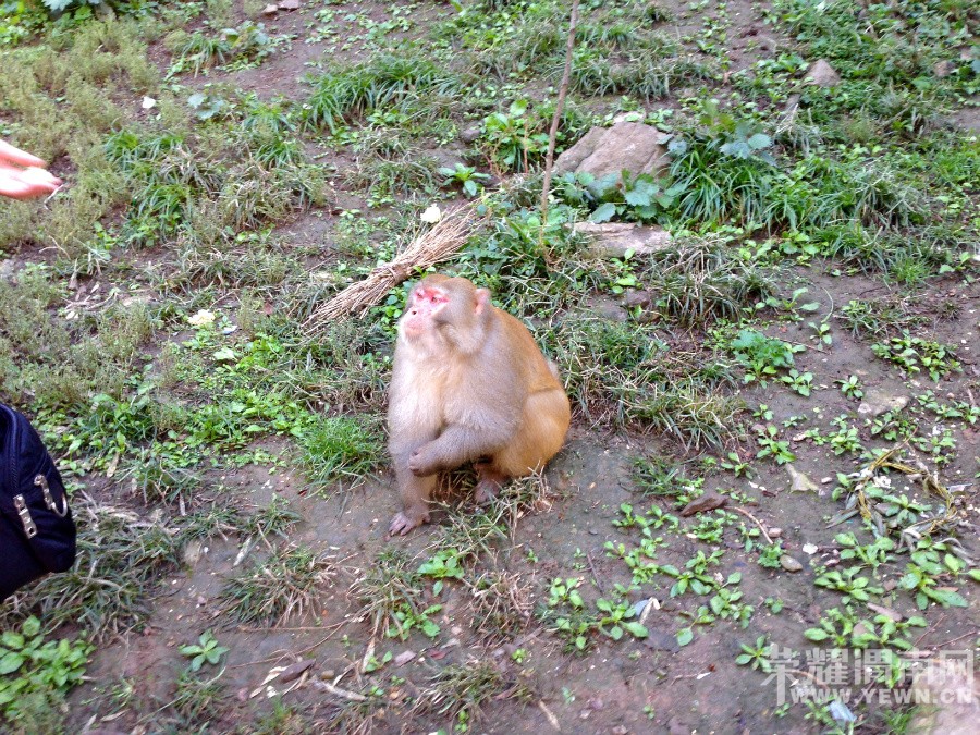 �ʳ��ฮ����Ů�ɺ������ӣ������£�����ʯ��