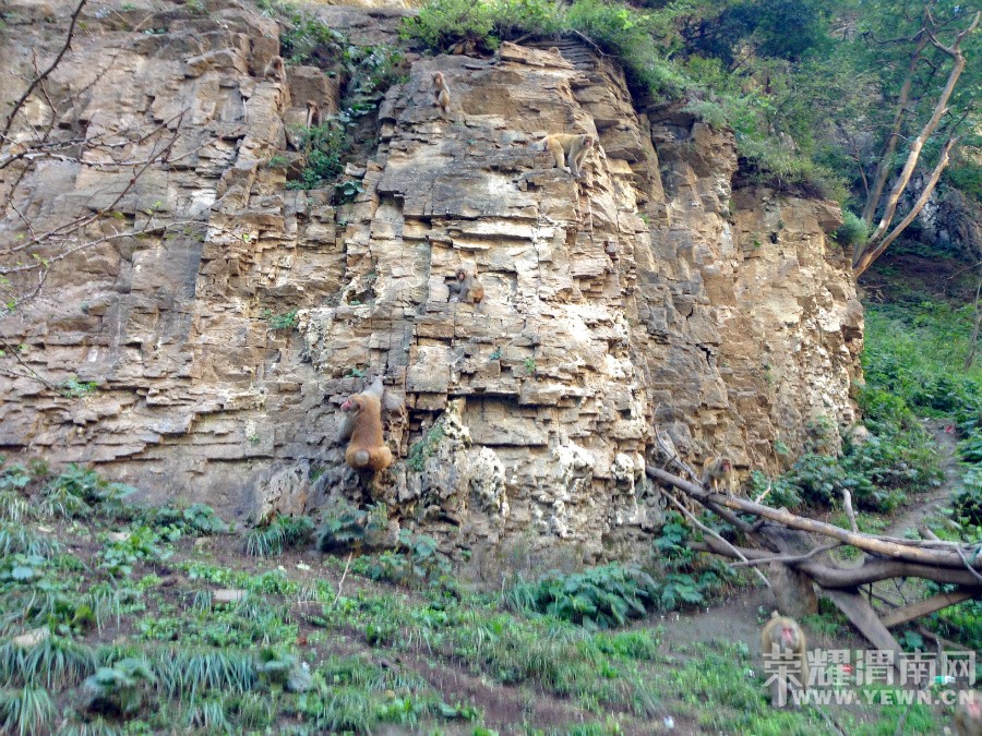 �ʳ��ฮ����Ů�ɺ������ӣ������£�����ʯ��<1>