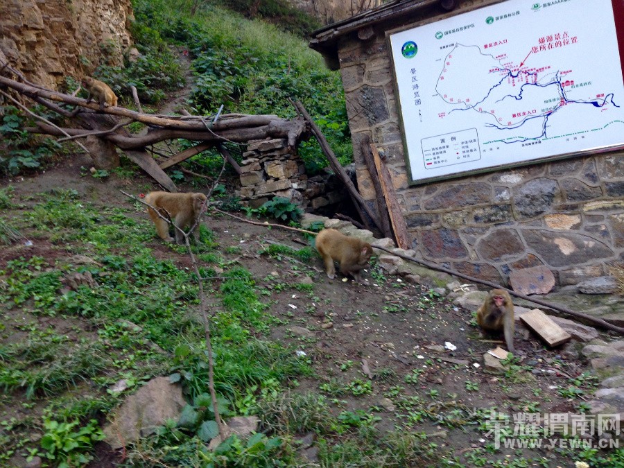 �ʳ��ฮ����Ů�ɺ������ӣ������£�����ʯ��<1>