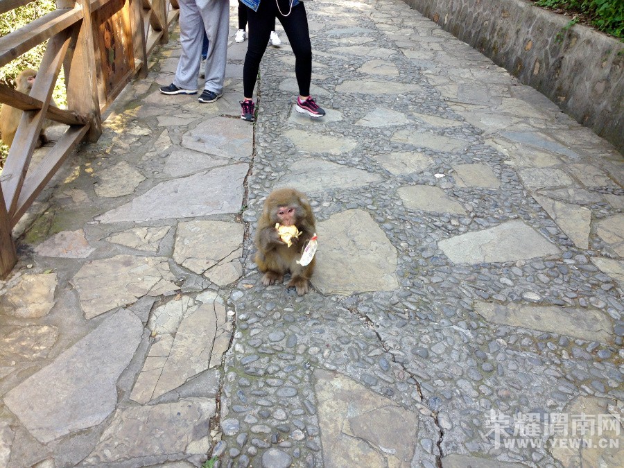 �ʳ��ฮ����Ů�ɺ������ӣ������£�����ʯ��<1>