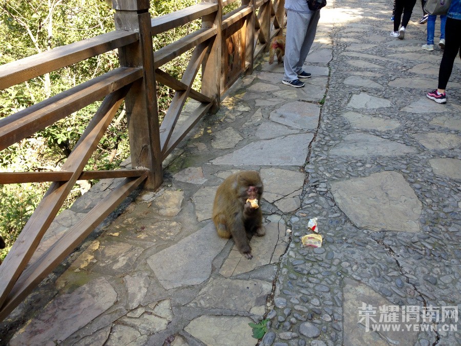 �ʳ��ฮ����Ů�ɺ������ӣ������£�����ʯ��<1>