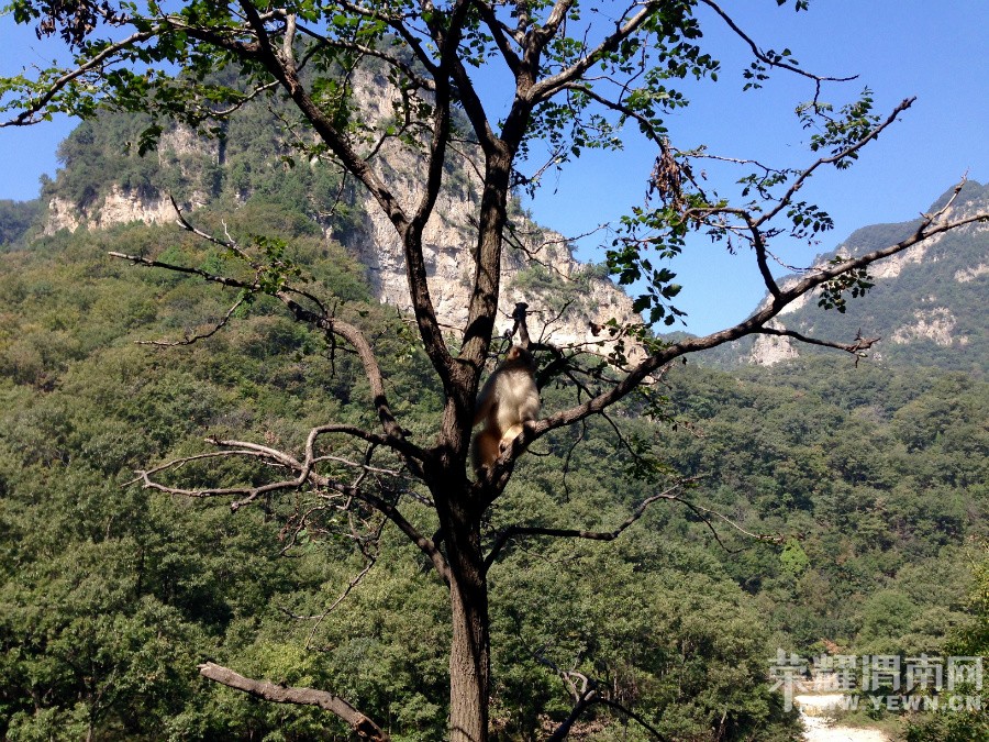 �ʳ��ฮ����Ů�ɺ������ӣ������£�����ʯ��<1>