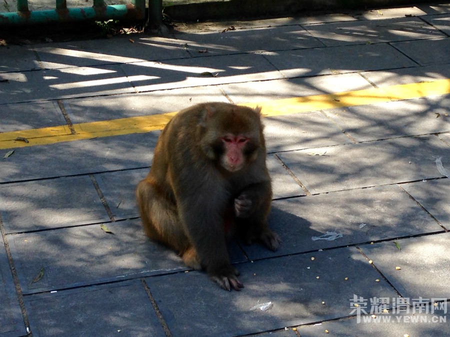 �ʳ��ฮ����Ů�ɺ������ӣ������£�����ʯ��<1>