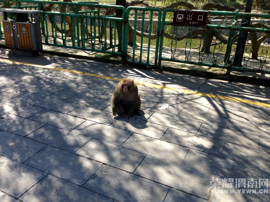 �ʳ��ฮ����Ů�ɺ������ӣ������£�����ʯ��<1>