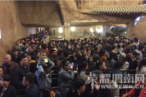 ʮһ�������������Σ���Щ������һ��Ҫ���ģ�