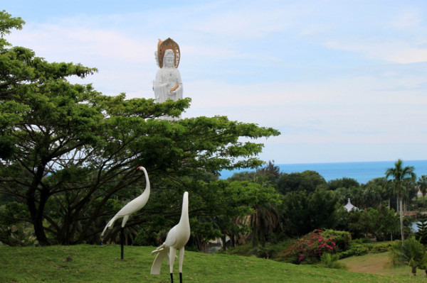 �Һ͹��۵�д���ա�