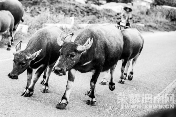 һ���������׵�״̬��һ������ϴ�Ӻ�ĸо���