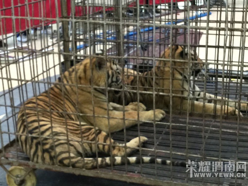 ���춯�Ｏ�������У��ú����Ǳ��۸�