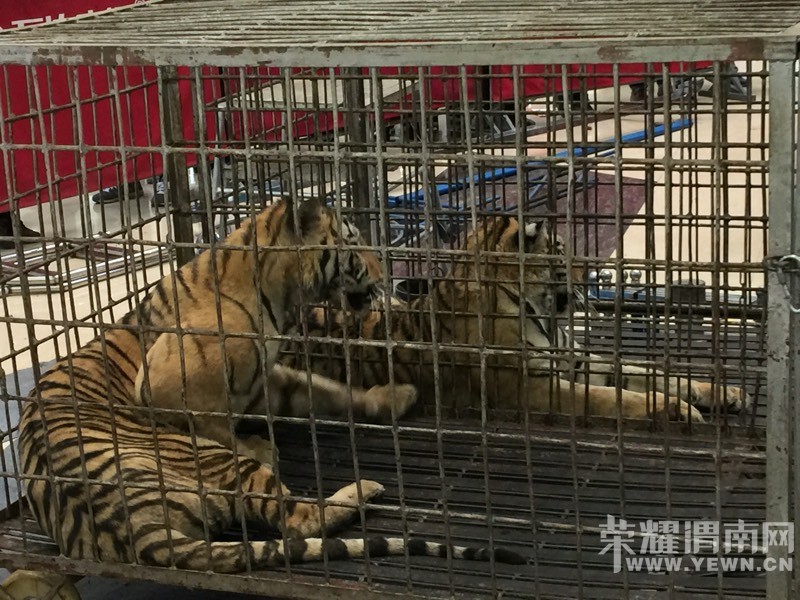 ���춯�Ｏ�������У��ú����Ǳ��۸�