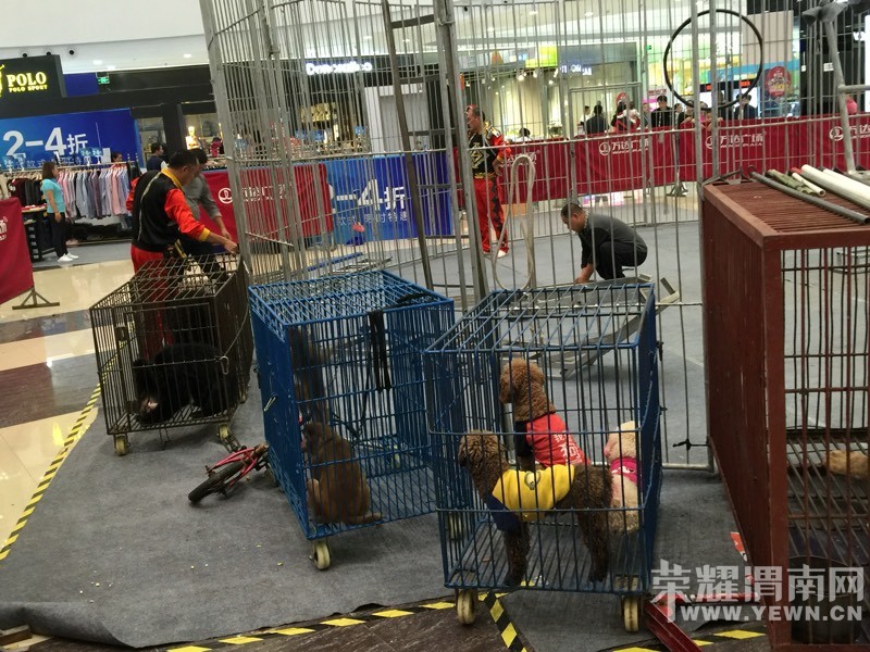 ���춯�Ｏ�������У��ú����Ǳ��۸�