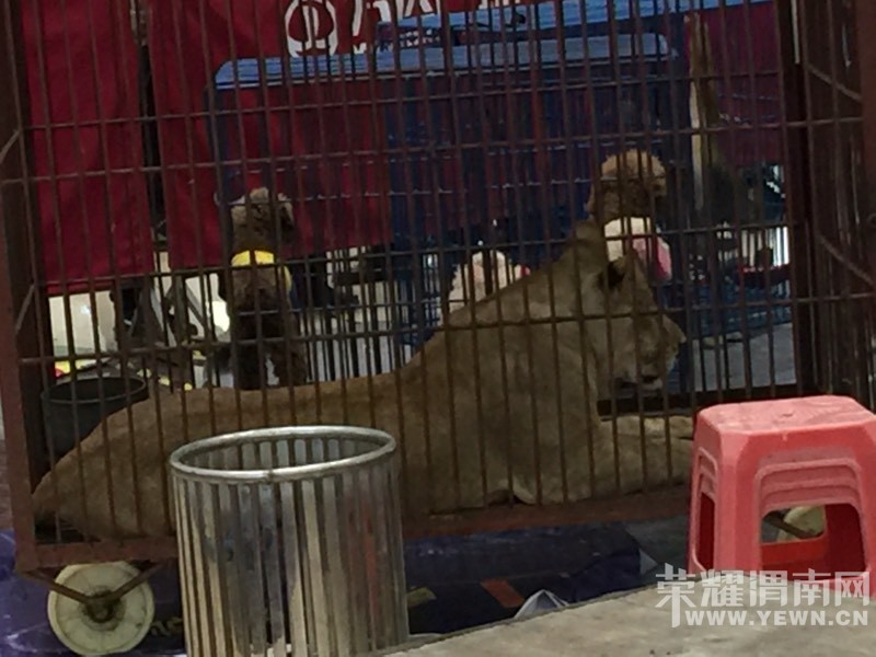 ���춯�Ｏ�������У��ú����Ǳ��۸�