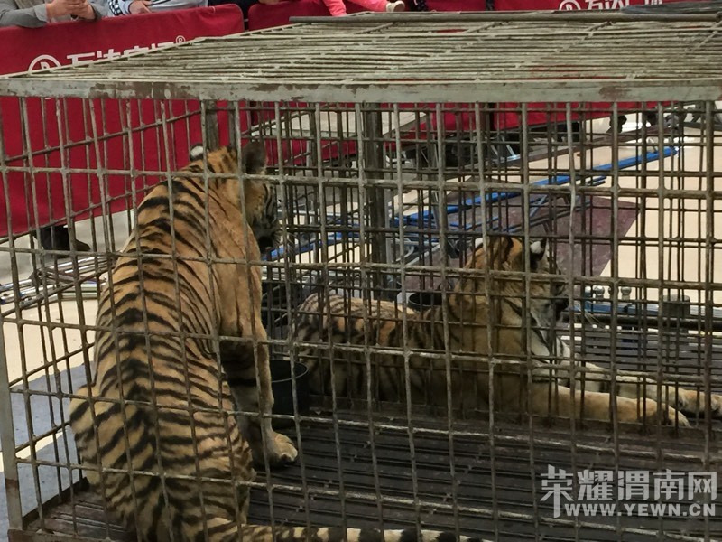 ���춯�Ｏ�������У��ú����Ǳ��۸�